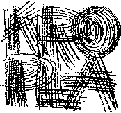 Kropla